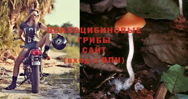 стафф Майский