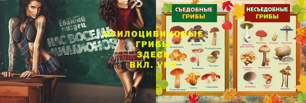 стафф Майский