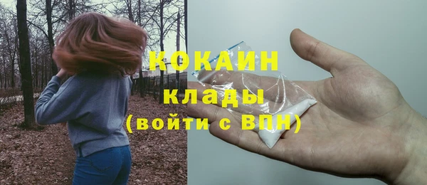стафф Майский