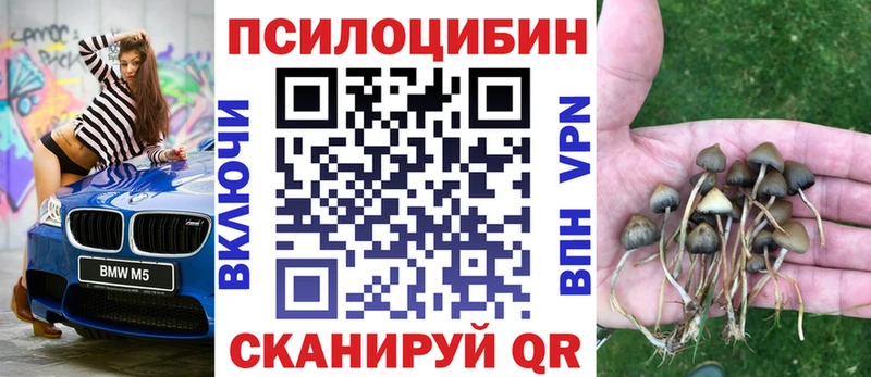 Галлюциногенные грибы Cubensis  что такое наркотик  Первоуральск 