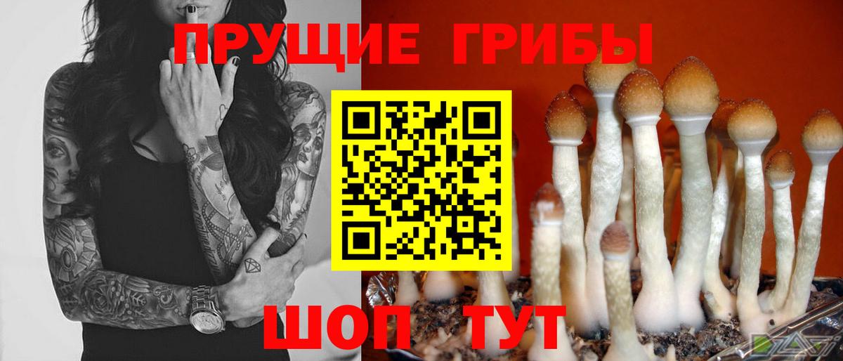 Первоуральск  цена   Галлюциногенные грибы Magic Shrooms  Вход с VPN  Псилоцибиновые грибы Cubensis 
